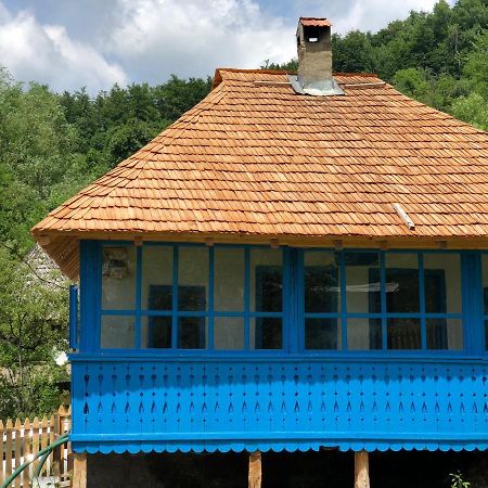 Вилла Casa Albastra Бэи­ле-Олэ­неш­ти Экстерьер фото