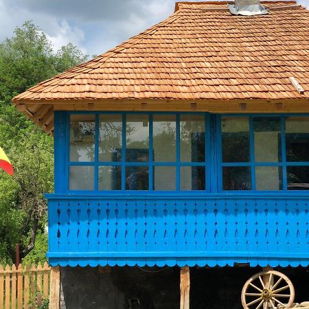 Вилла Casa Albastra Бэи­ле-Олэ­неш­ти Экстерьер фото