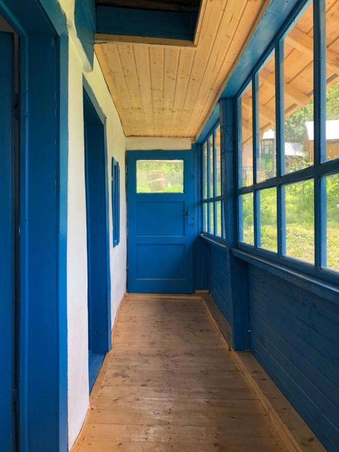 Вилла Casa Albastra Бэи­ле-Олэ­неш­ти Экстерьер фото
