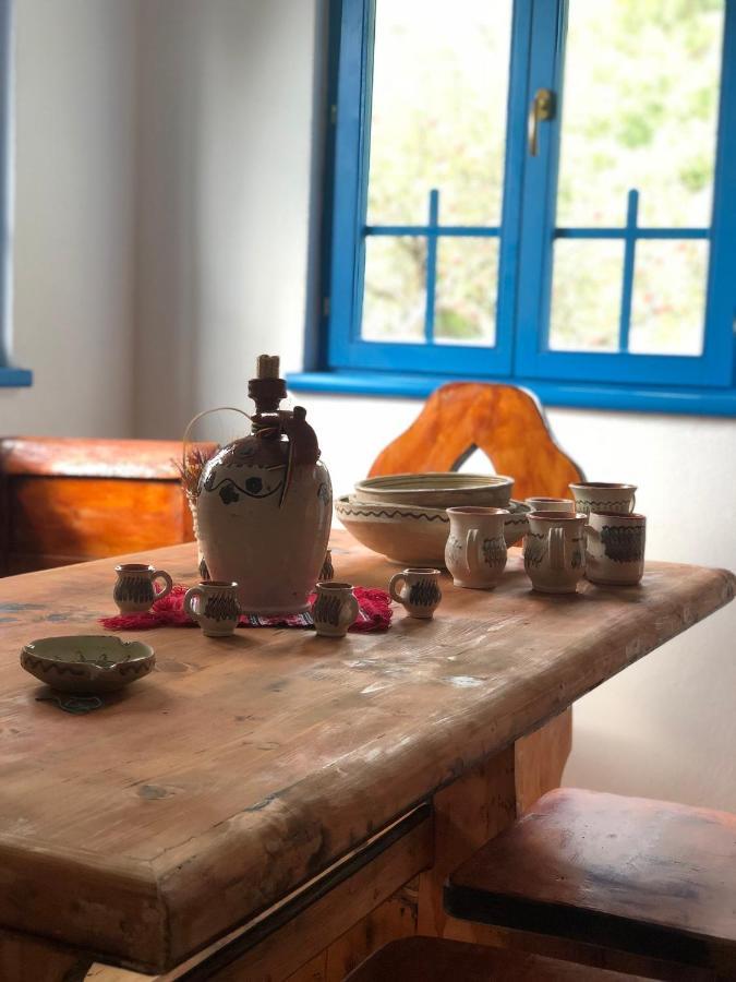 Вилла Casa Albastra Бэи­ле-Олэ­неш­ти Экстерьер фото