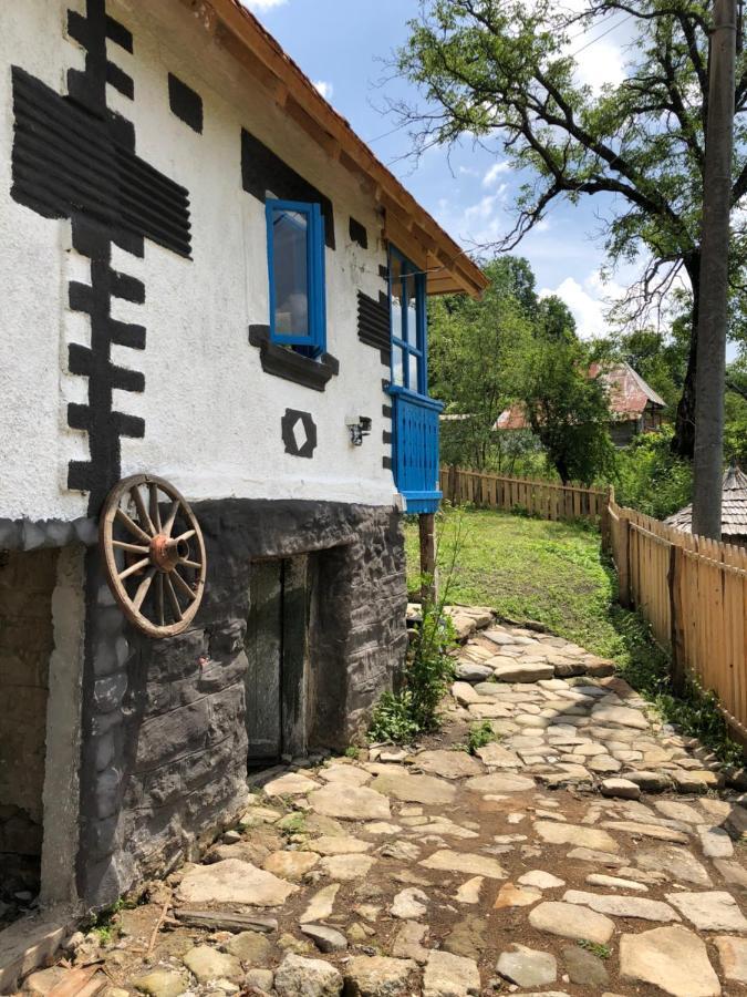 Вилла Casa Albastra Бэи­ле-Олэ­неш­ти Экстерьер фото