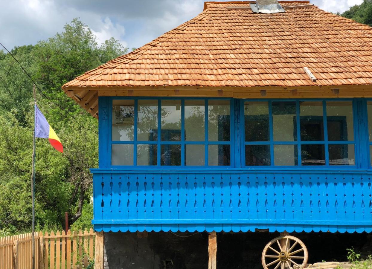 Вилла Casa Albastra Бэи­ле-Олэ­неш­ти Экстерьер фото