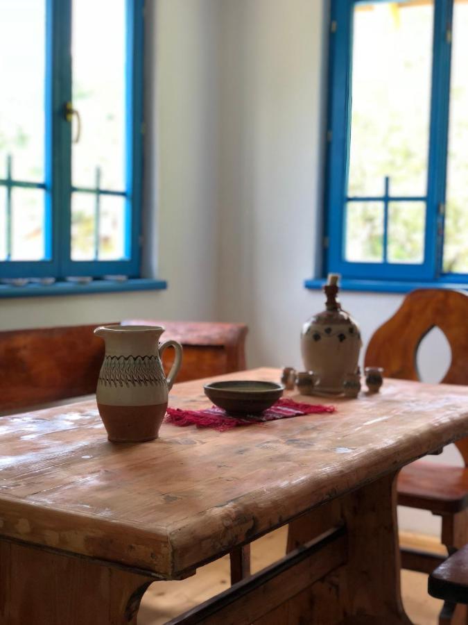 Вилла Casa Albastra Бэи­ле-Олэ­неш­ти Экстерьер фото