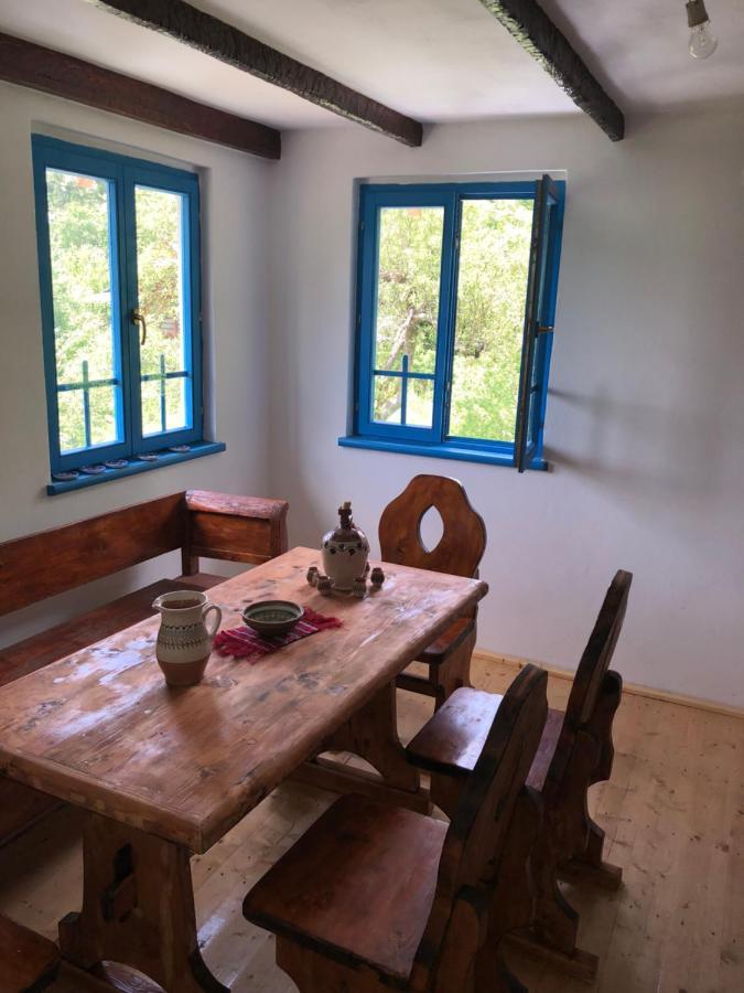 Вилла Casa Albastra Бэи­ле-Олэ­неш­ти Экстерьер фото