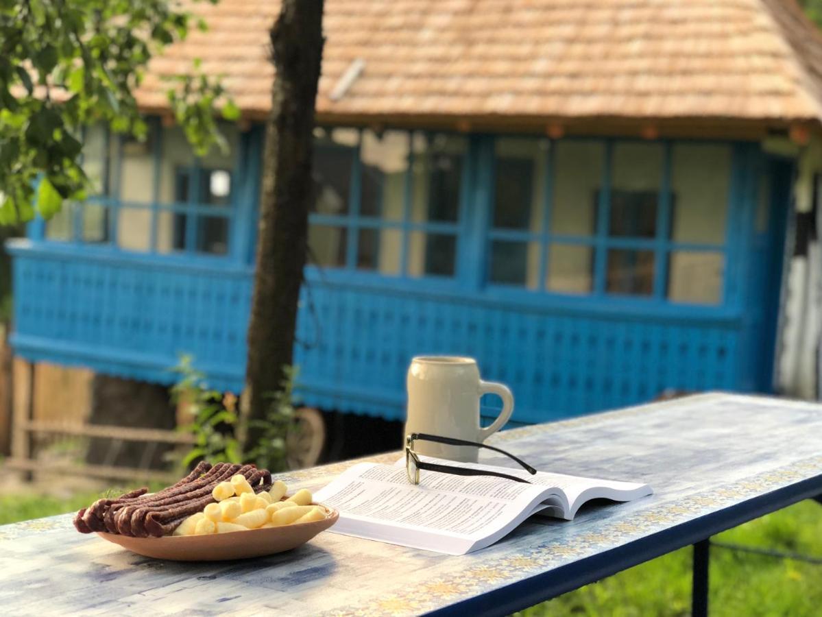 Вилла Casa Albastra Бэи­ле-Олэ­неш­ти Экстерьер фото
