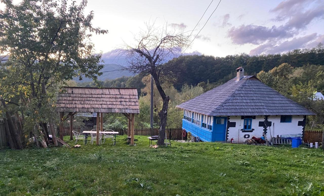 Вилла Casa Albastra Бэи­ле-Олэ­неш­ти Экстерьер фото