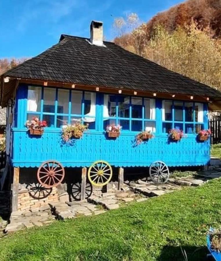 Вилла Casa Albastra Бэи­ле-Олэ­неш­ти Экстерьер фото
